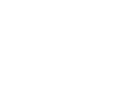 schneider schneider