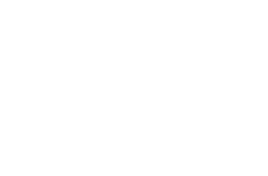 adapt-IT-logo-300x197White